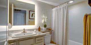 Indigo Apartment Homes Gallery 8