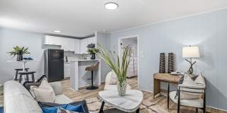 Newly Remodeled 1 Bedroom Apartment Gallery 8