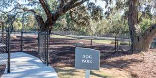 Mariner Grove Gallery 17