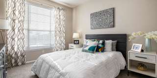 Monte Vista Gallery 6