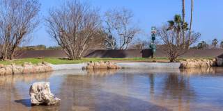 Fairways Gallery 11