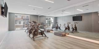 Legacy at Fitz Gallery 25