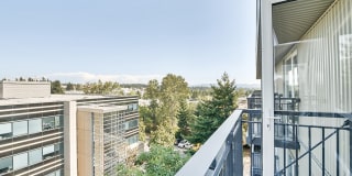 Bell Overlake Gallery 5