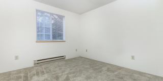 Brightwaters at Redhawk Gallery 46