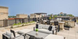 Siena Park Gallery 3