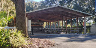 24921 Pine Hill Gallery 20