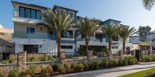 Brand New Build 3 Bedroom Condo with Rooftop Deck Brand New Build 3 Bedroom Condo with Rooftop Deck Gallery 1