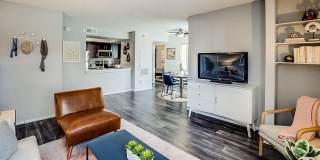 Bella Solara Gallery 24