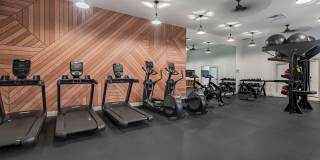 Steeplechase Gallery 16