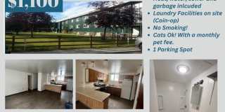 1902 MARY ANN STREET Gallery 1