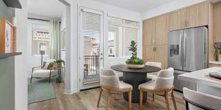 Vida at Mountain House Gallery 9