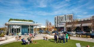 Oro Ballantyne Gallery 70