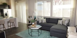 Avilla Marana Gallery 17