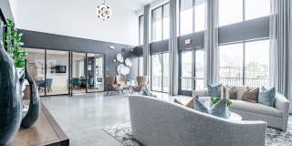 Muse Apartments Gallery 5