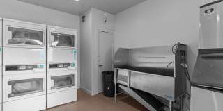 Trio Trio Gallery 15