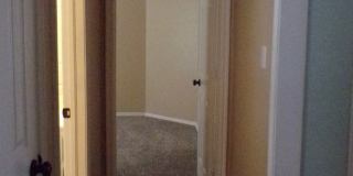 Pets Negotiable with Owner Approval! Gallery 24