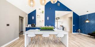 The Whitley Apartments The Whitley Apartments Gallery 4