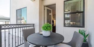 Solara Vista Gallery 3