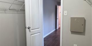 103 Scaley Bark Drive Gallery 22