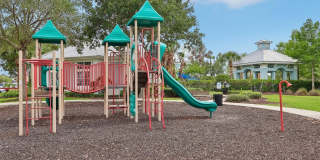 343 BLUE CYPRESS Drive Gallery 78