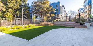 Sevens Luxury Apartment Gallery 187
