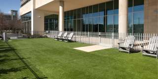 Twelve Cowboys Way Gallery 21