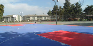 PARKWOOD APARTMENTS Gallery 12
