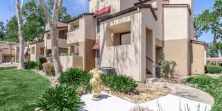 Avery at TownCentre Gallery 5