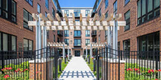 The Elysian Gallery 568