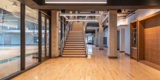 The Village Drey Gallery 61