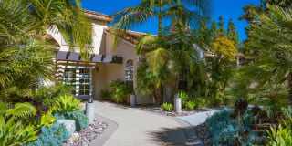 Central Park Gallery 26