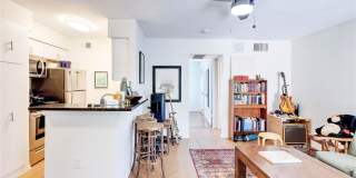 2207 Leon St Apt 303 Gallery 4