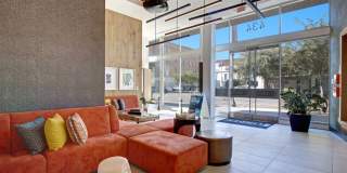 The Linden Gallery 19