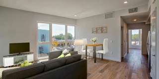 Little Zoe Gallery 21