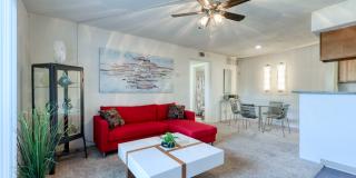 Broadstone Medical Gallery 16