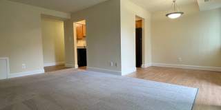 Northgate Gallery 111