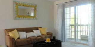 Park Terrace Gallery 11