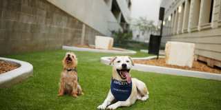 Camden Travis Street Gallery 24