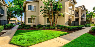 The Galleria Apartment Homes Gallery 24