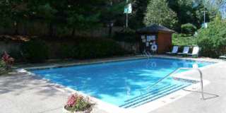 Springville Mill Gallery 8