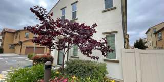 Luxury 4 Bedroom 3 Bathroom Home in a Gated Community in Murrieta! Gallery 1