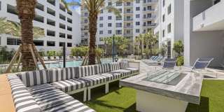 Tortoise One Gallery 33