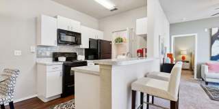 Vista Lake Ned Vista Lake Ned Gallery 1