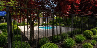 Harmony Gardens Senior Housing Gallery 5