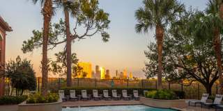 Jackson Hill Gallery 50