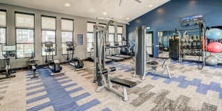 Savanna Nine Mile Gallery 31