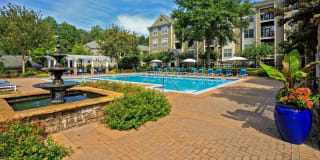 Cavalier @ 100 Gallery 7