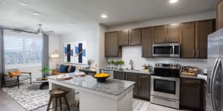 Allora New Forest Gallery 2