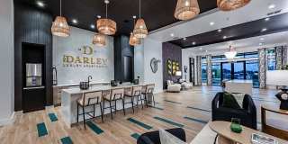 The Darley Gallery 4