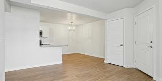 Carrington Square Gallery 50